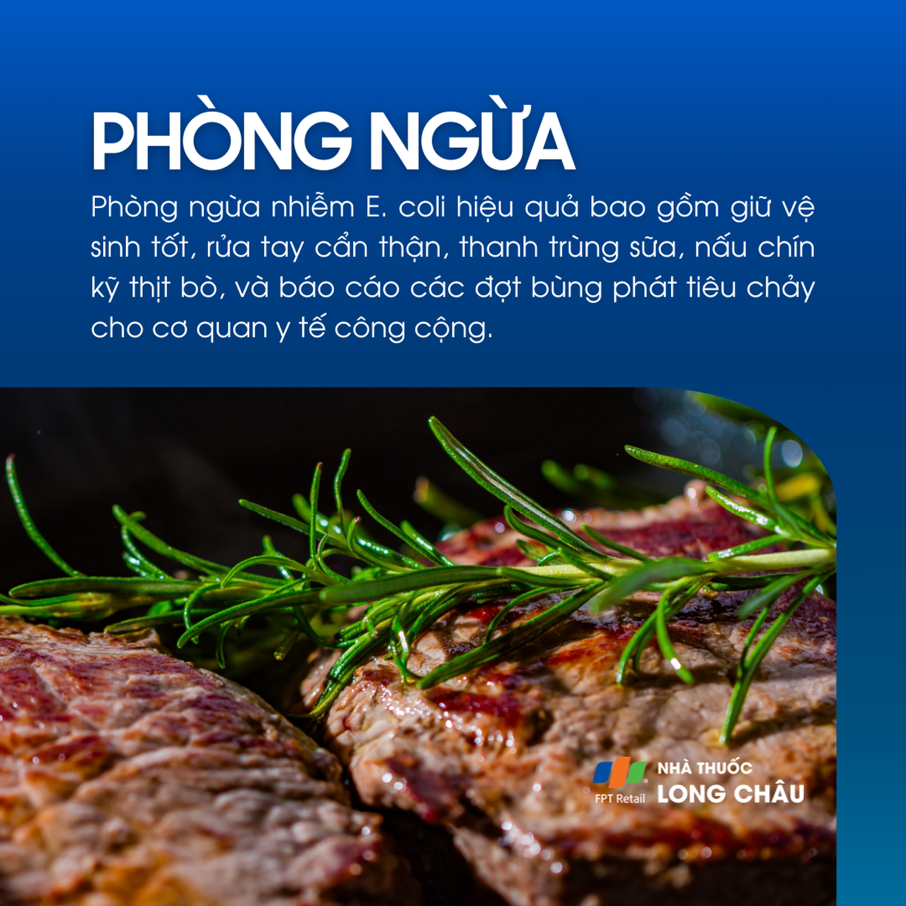 Nhiễm Ecoli 7