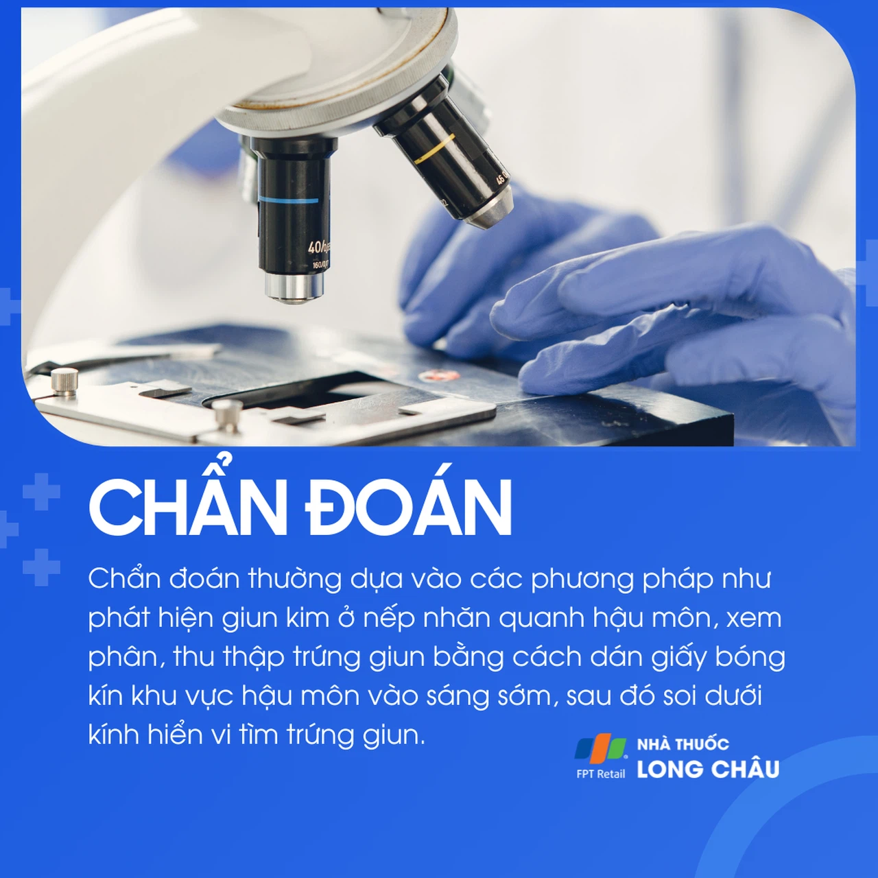 Nhiễm giun kim 5