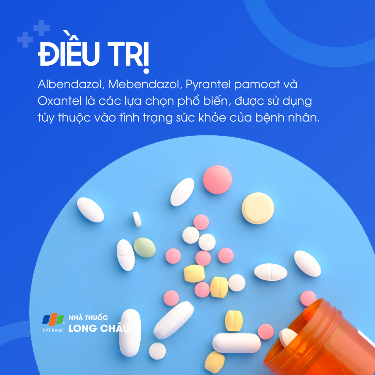 Nhiễm giun móc 6