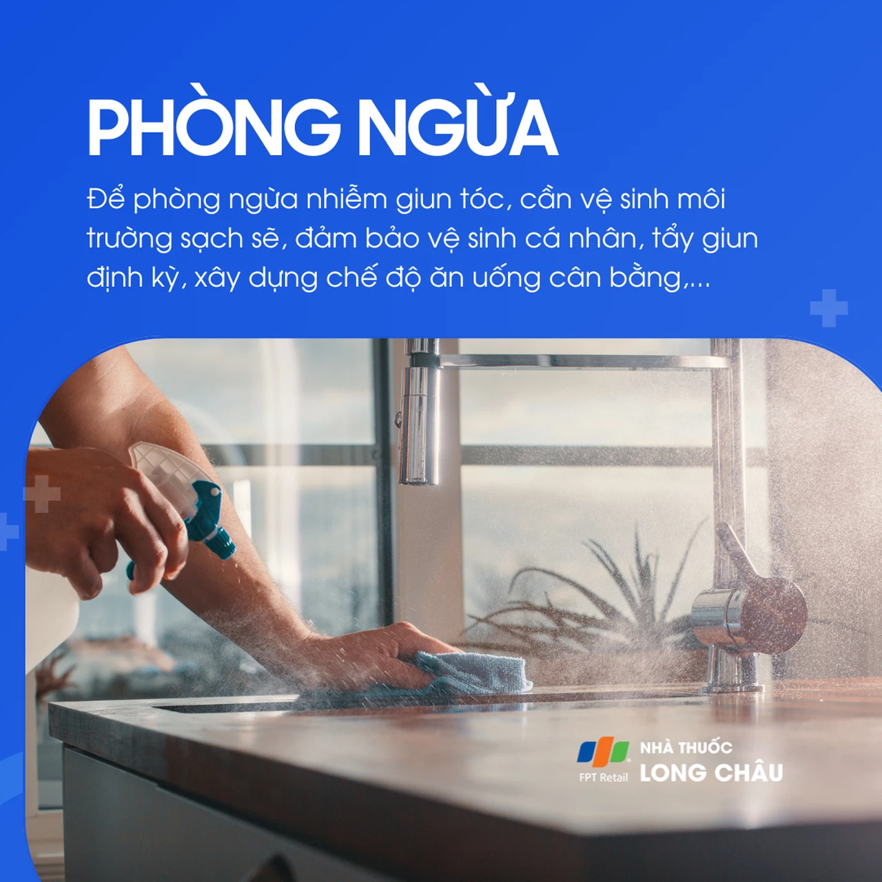 Nhiễm giun móc 7