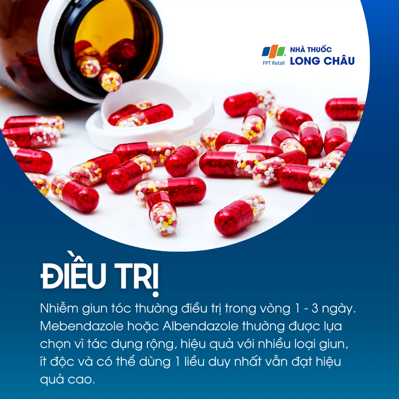 Nhiễm giun tóc 6