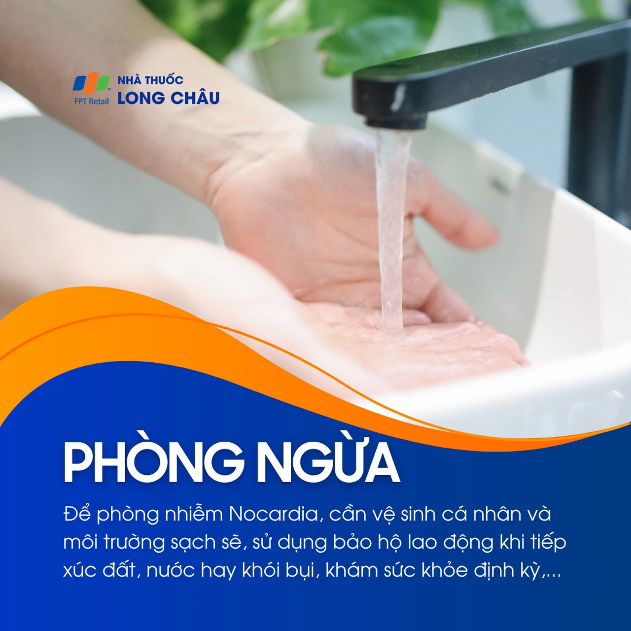Nhiễm Nocardia 7