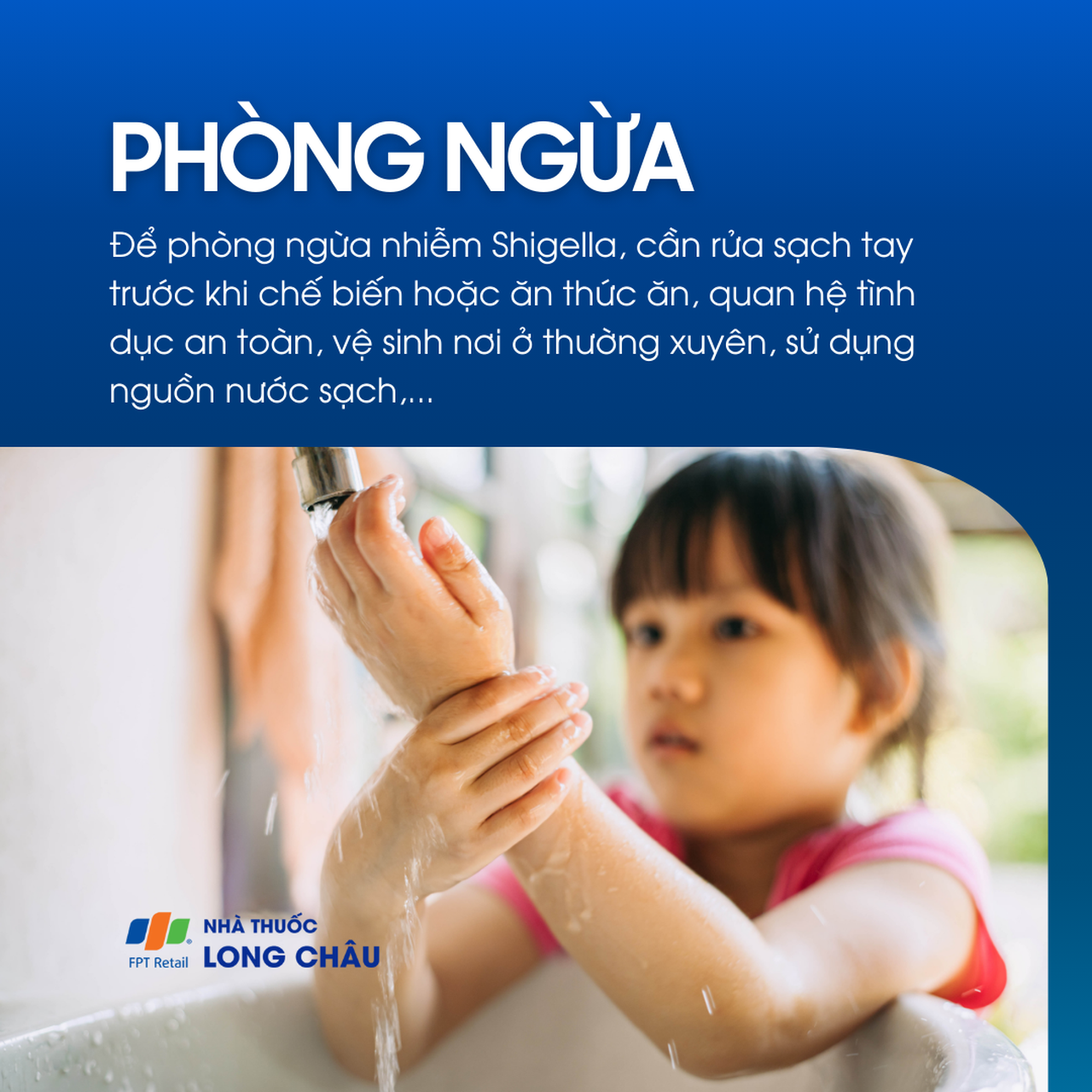 Nhiễm Shigella 7