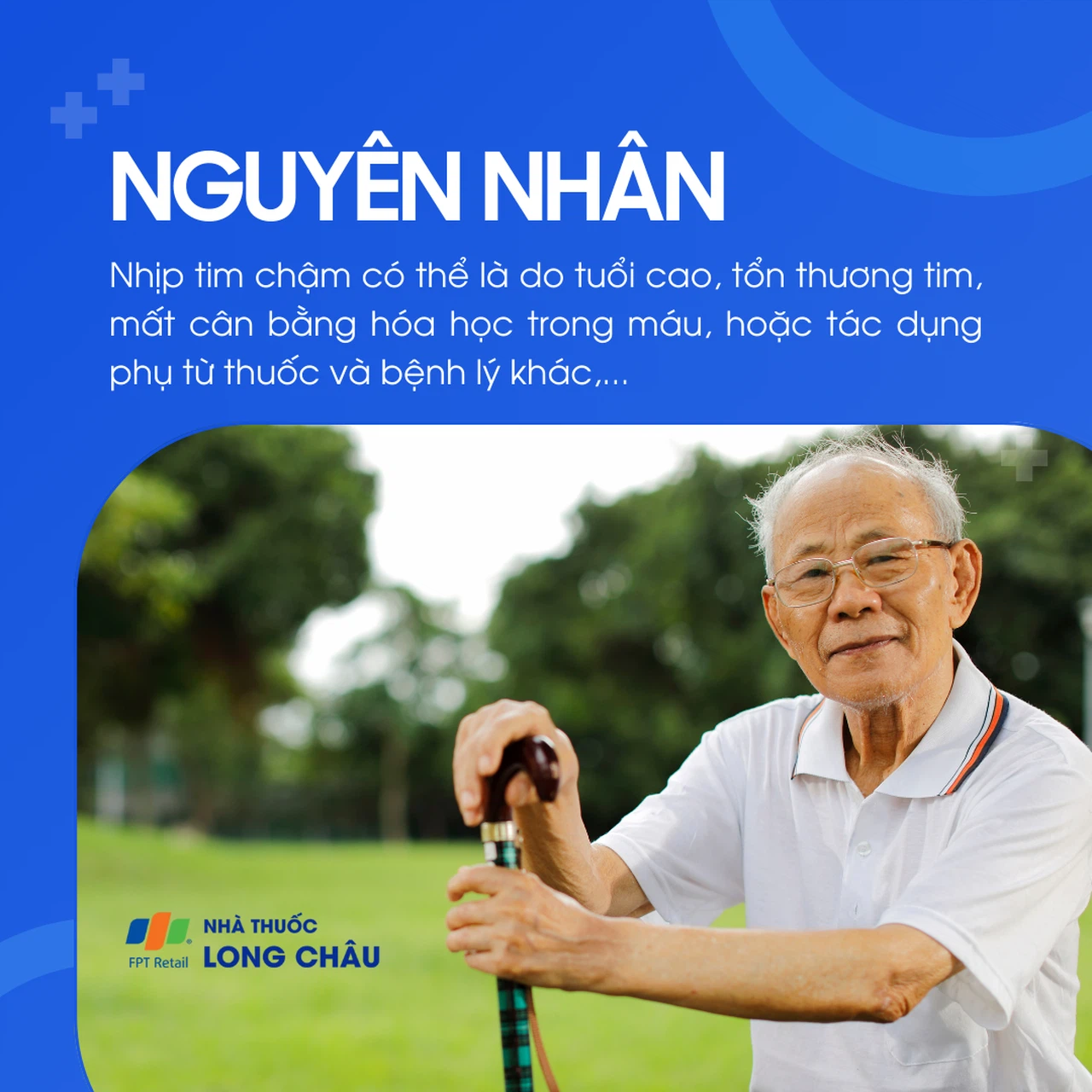 Nhịp tim chậm 3