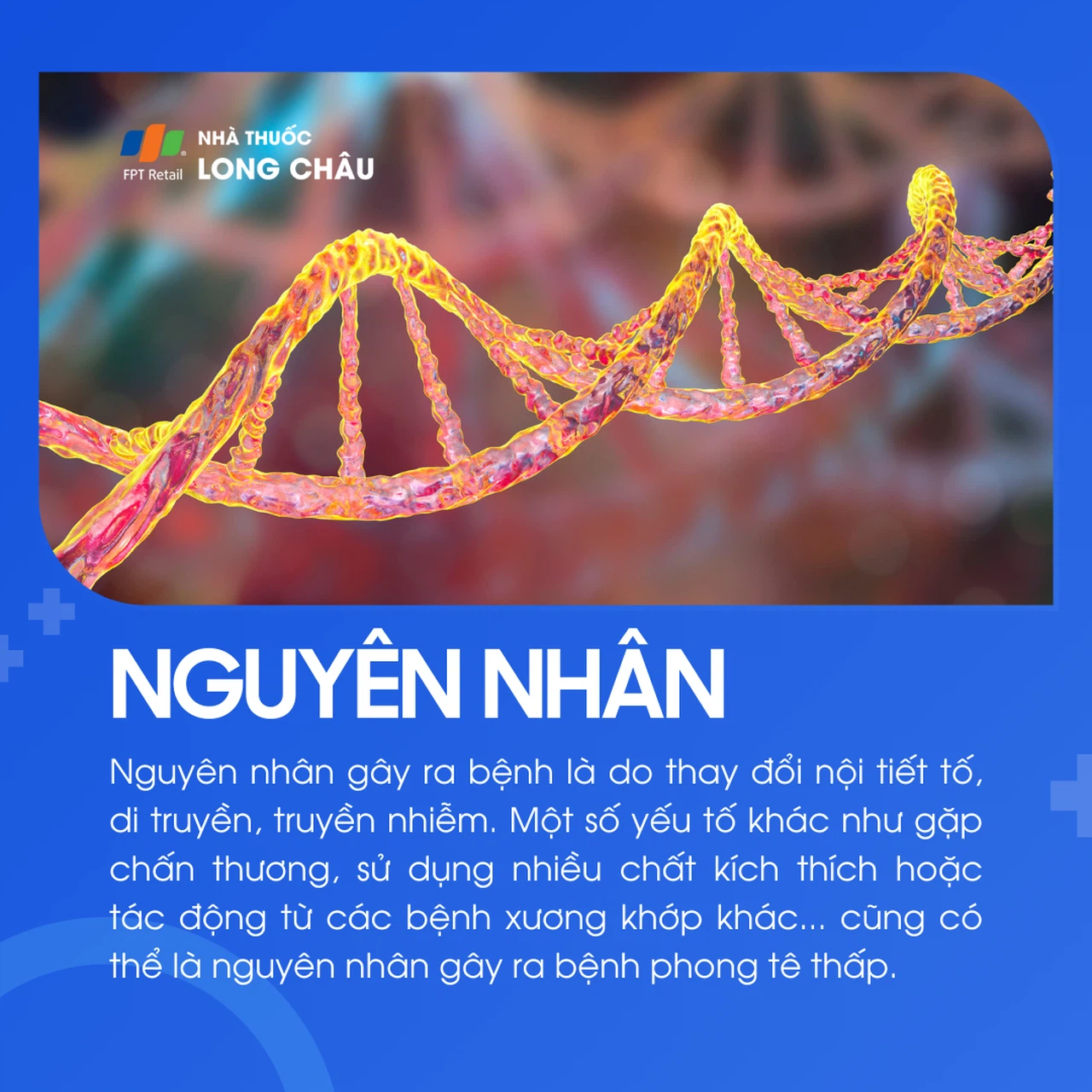 Phong tê thấp 4
