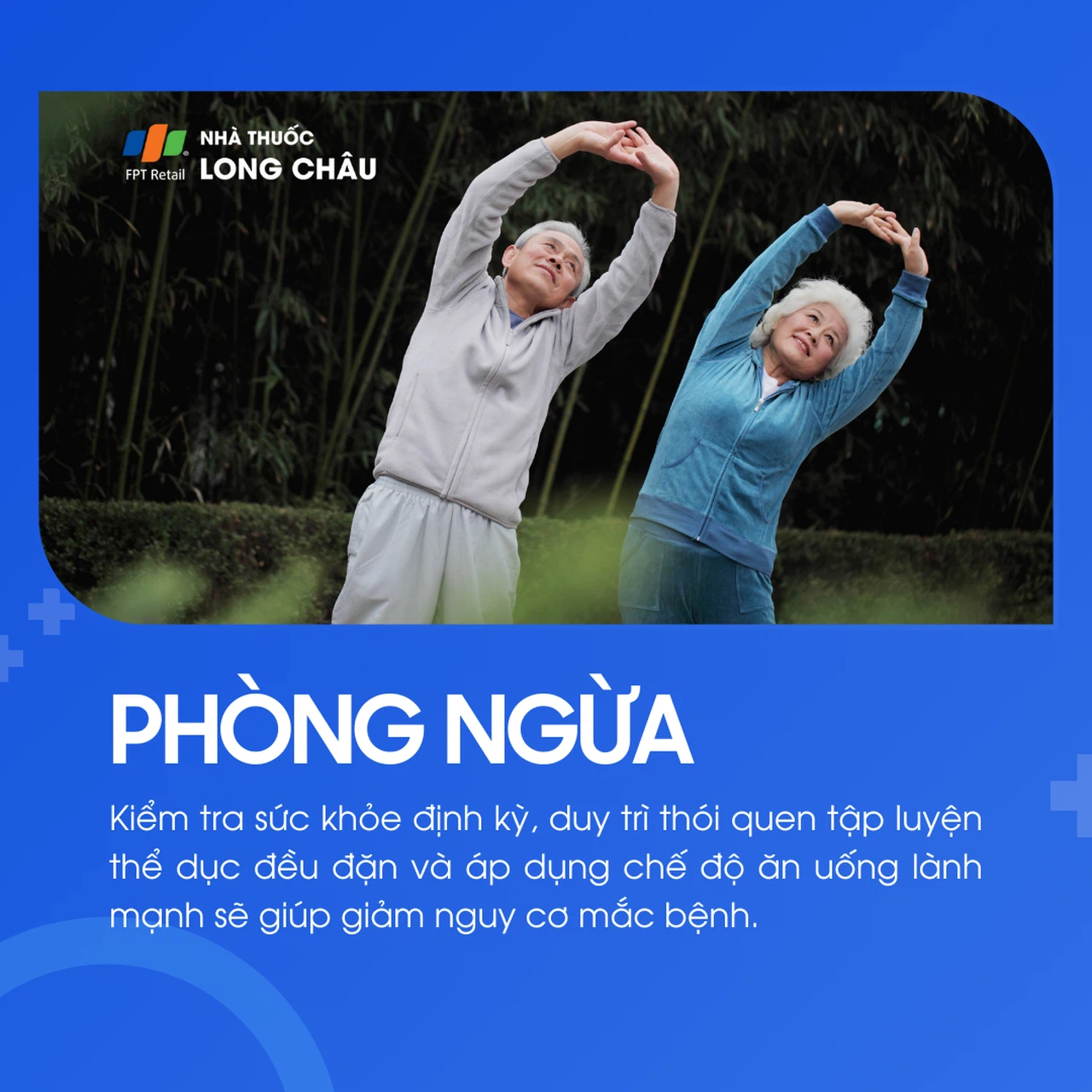 Phong tê thấp 8
