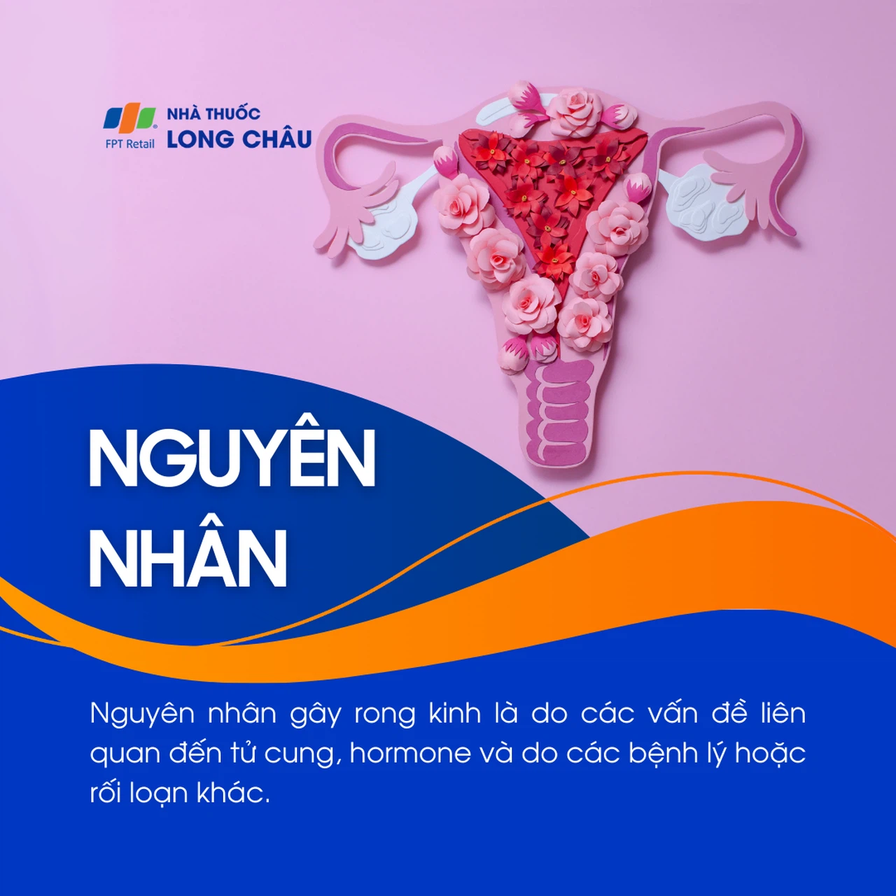 Rong kinh 3
