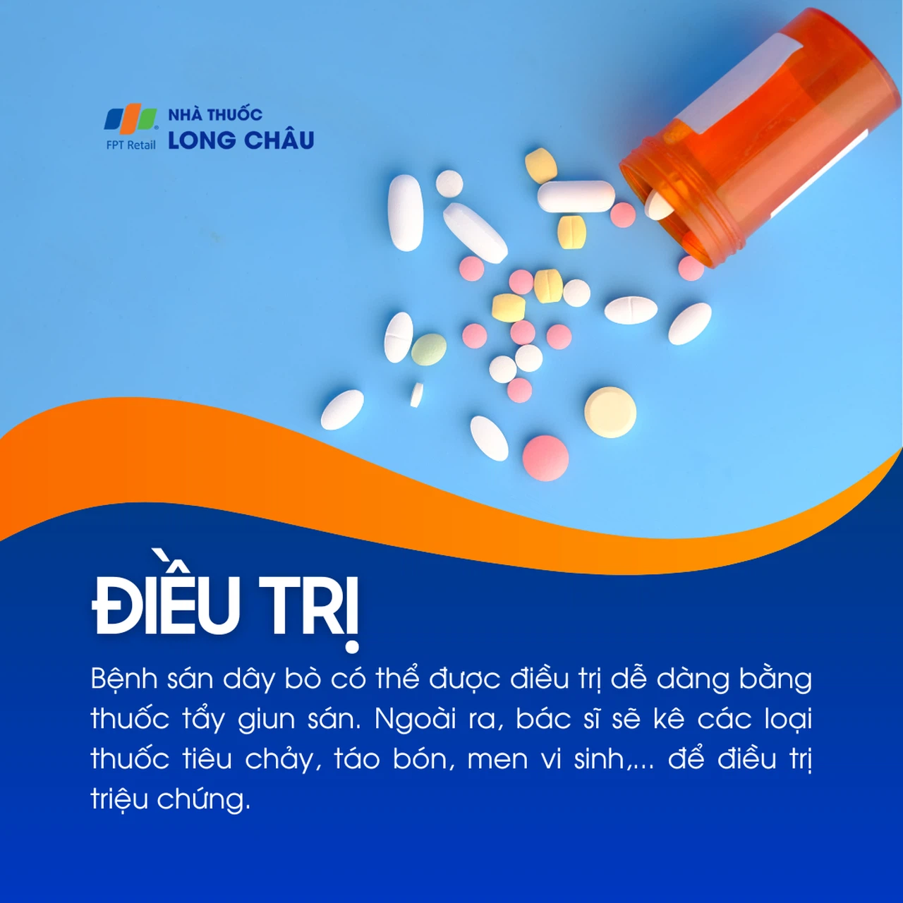 Sán dây bò 6