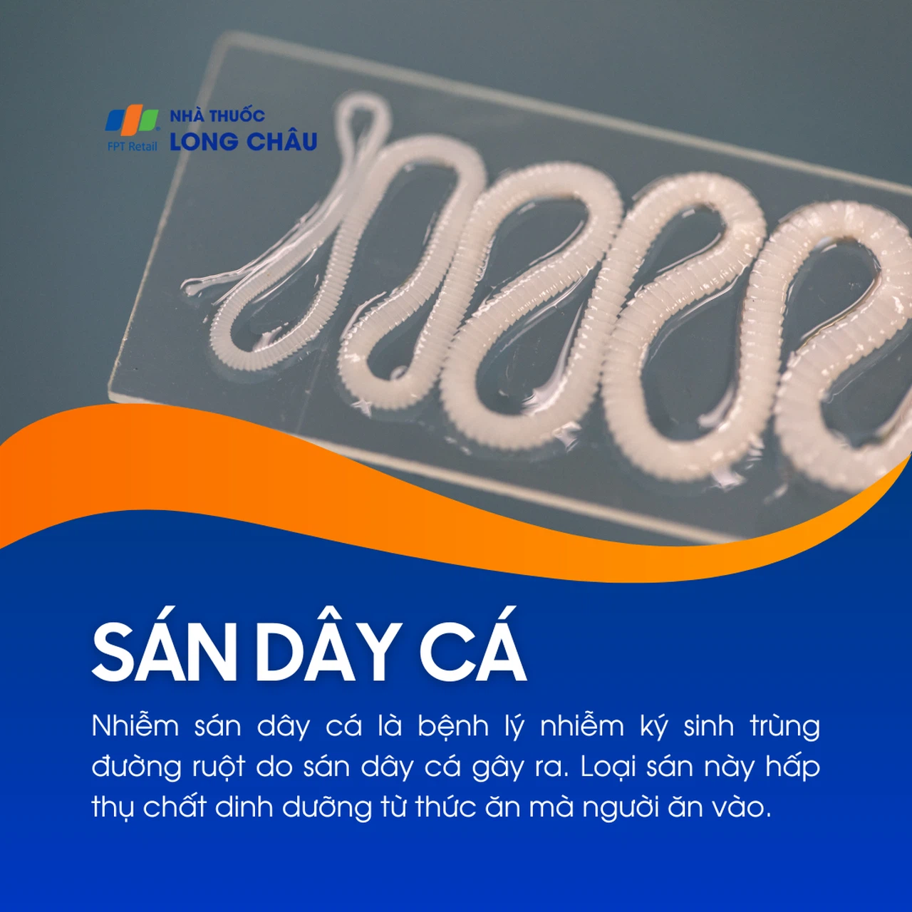 Nhiễm sán dây cá 1