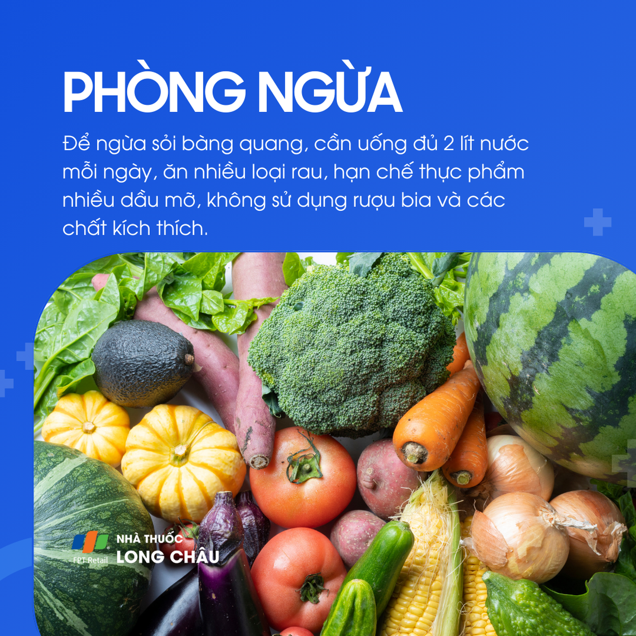 Sỏi bàng quang 7