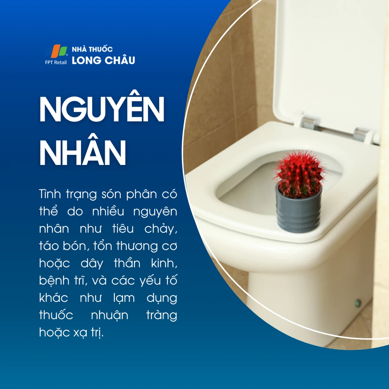 Són phân 3