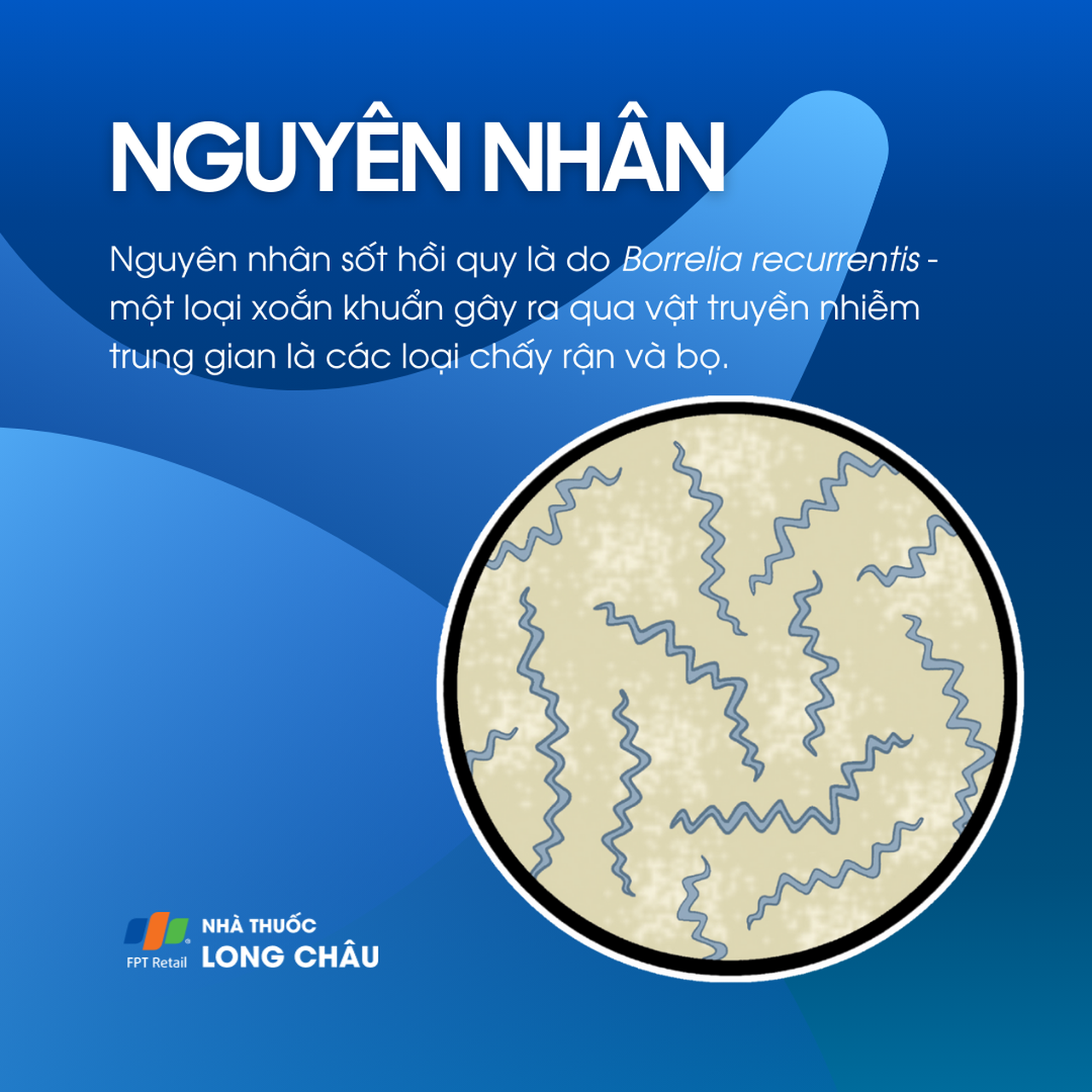 Sốt hồi quy 3