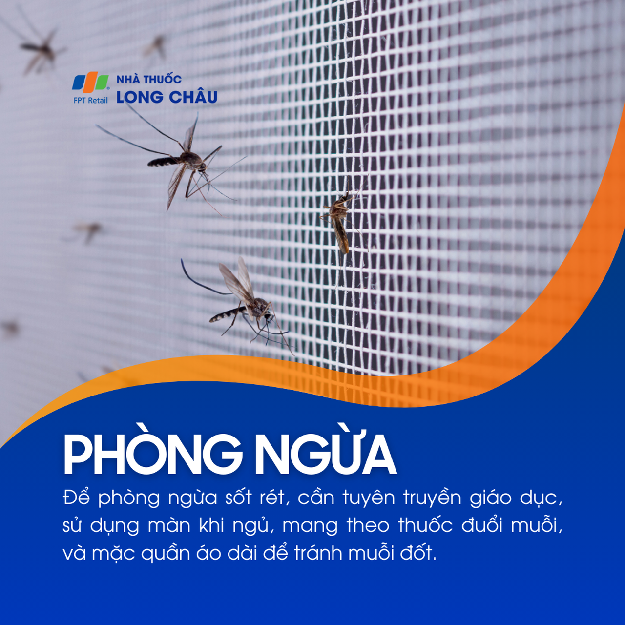Sốt rét 7