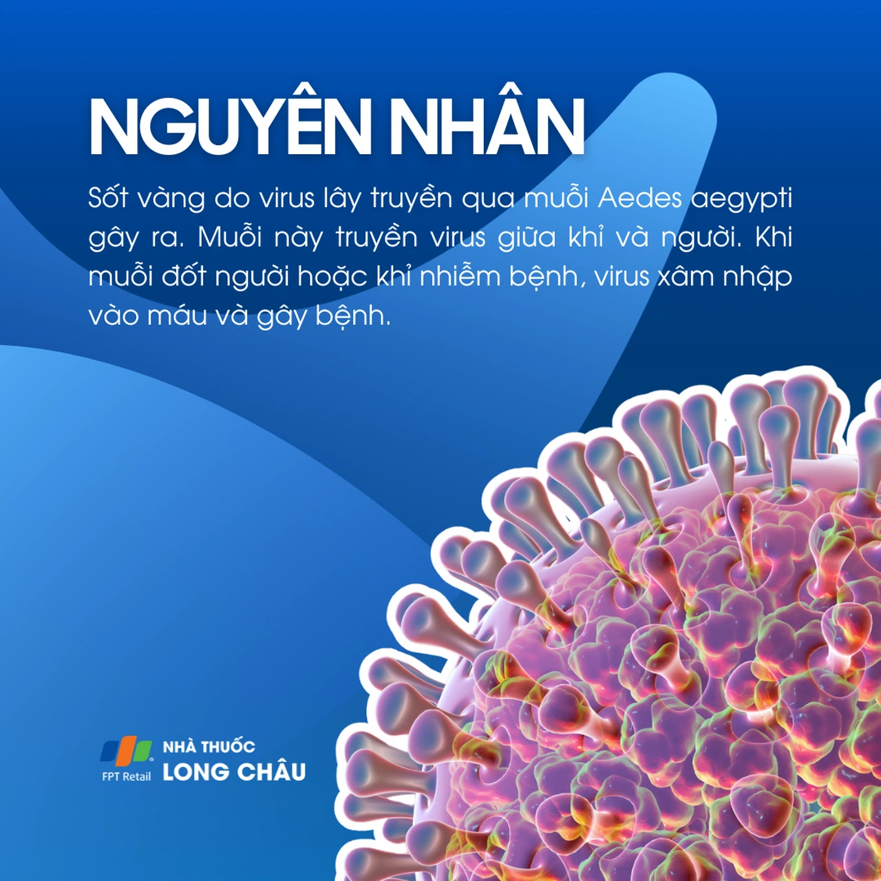 Sốt vàng 3