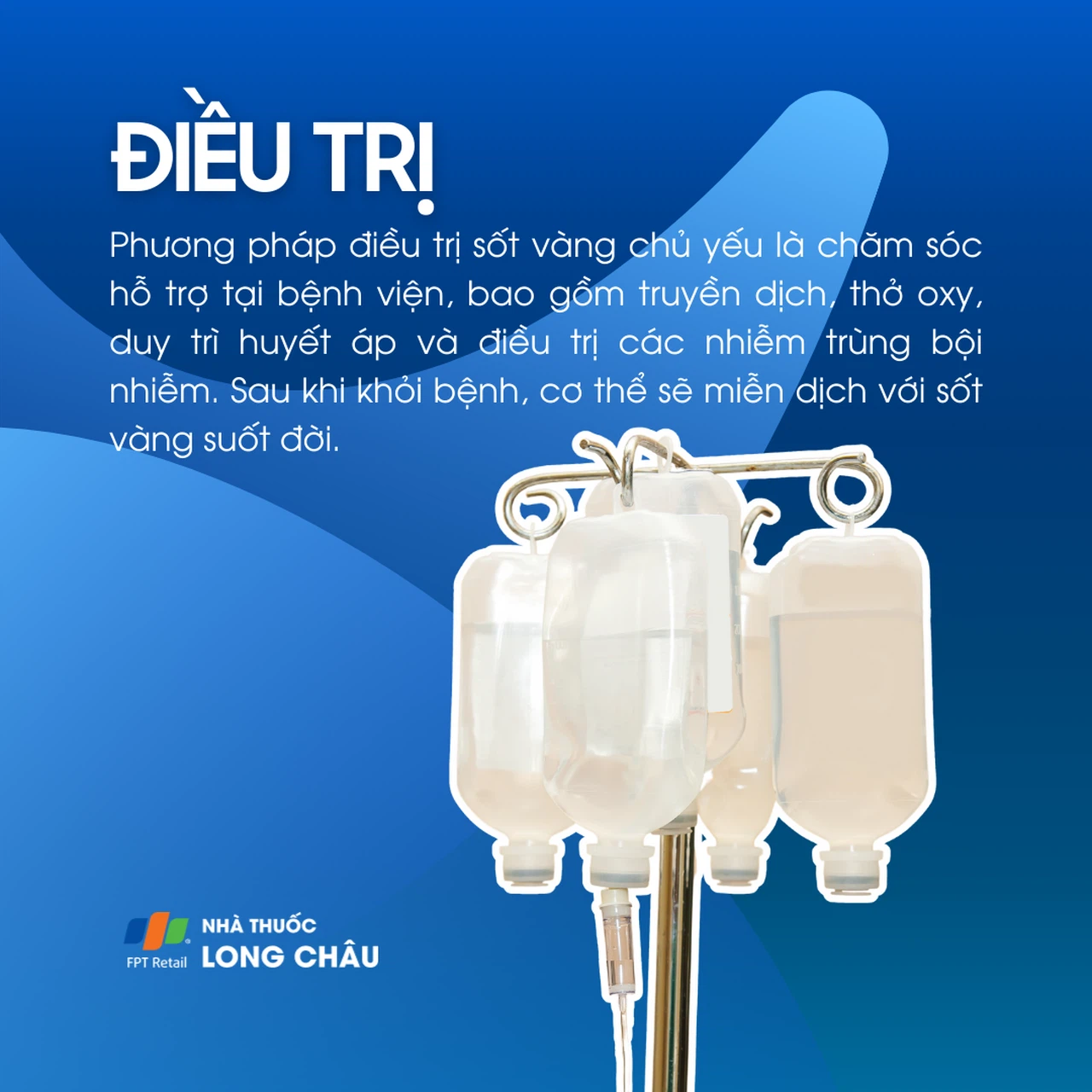 Sốt vàng 6