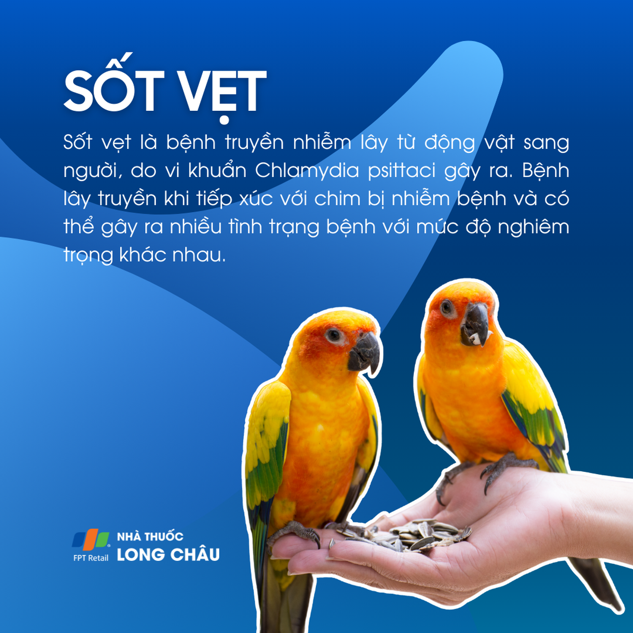 Sốt vẹt 1