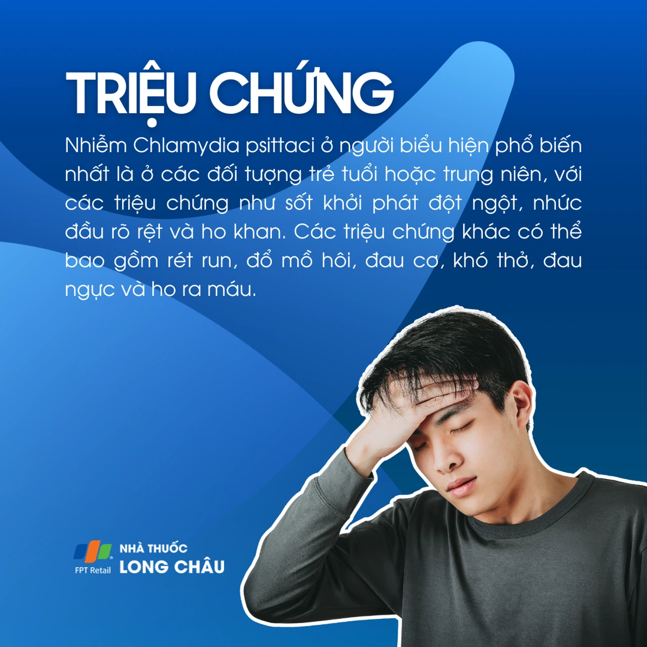 Sốt vẹt 2