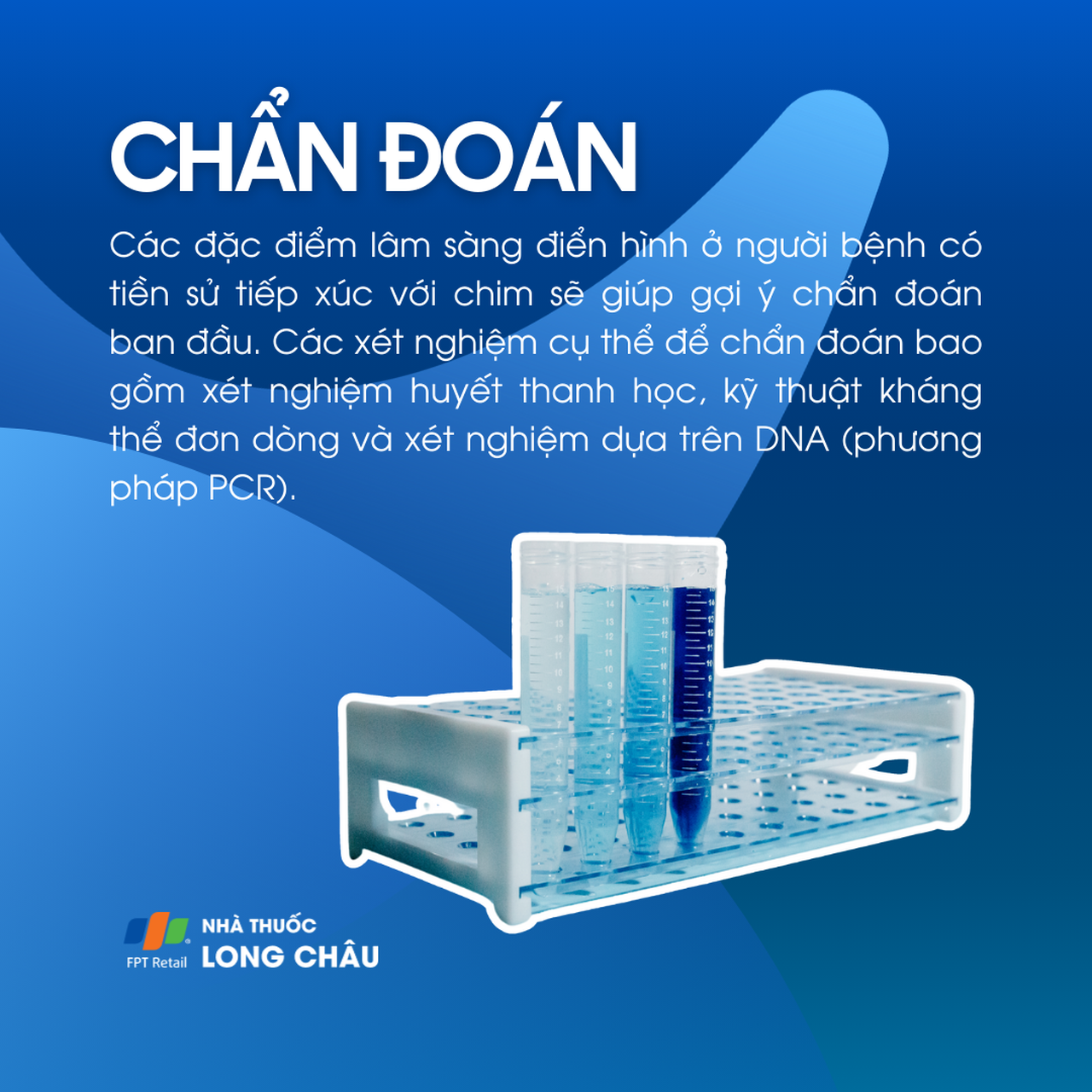 Sốt vẹt 5