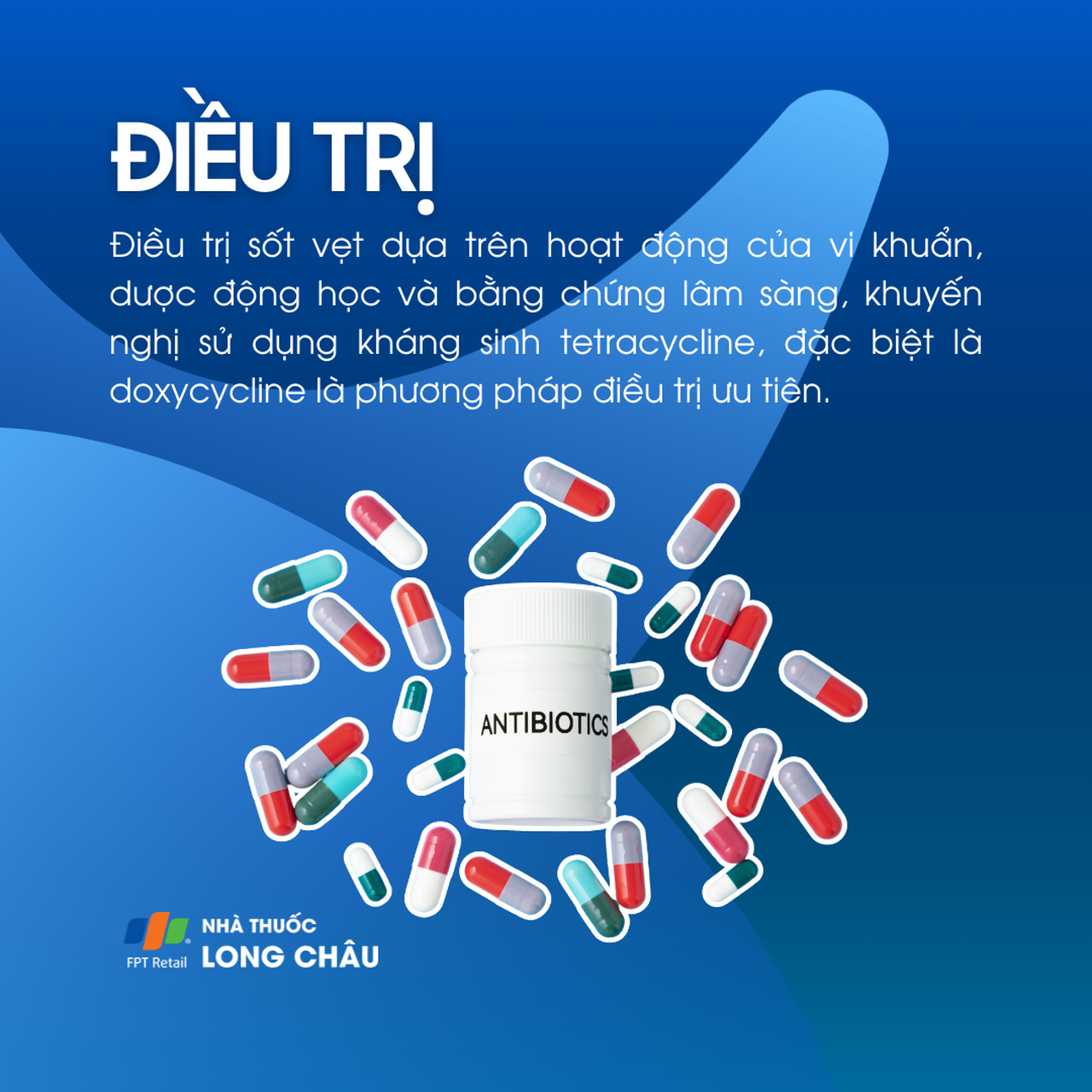 Sốt vẹt 6
