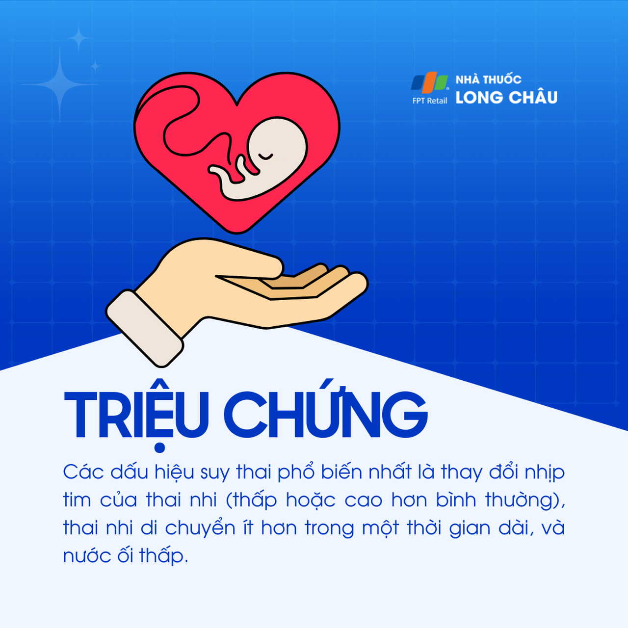 Suy thai 2