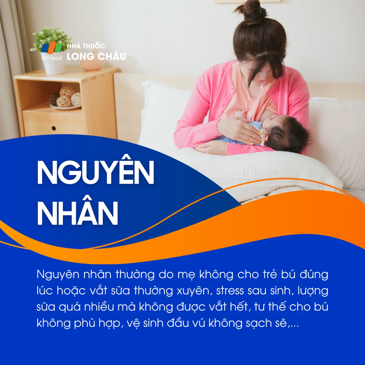 Tắc sữa 3