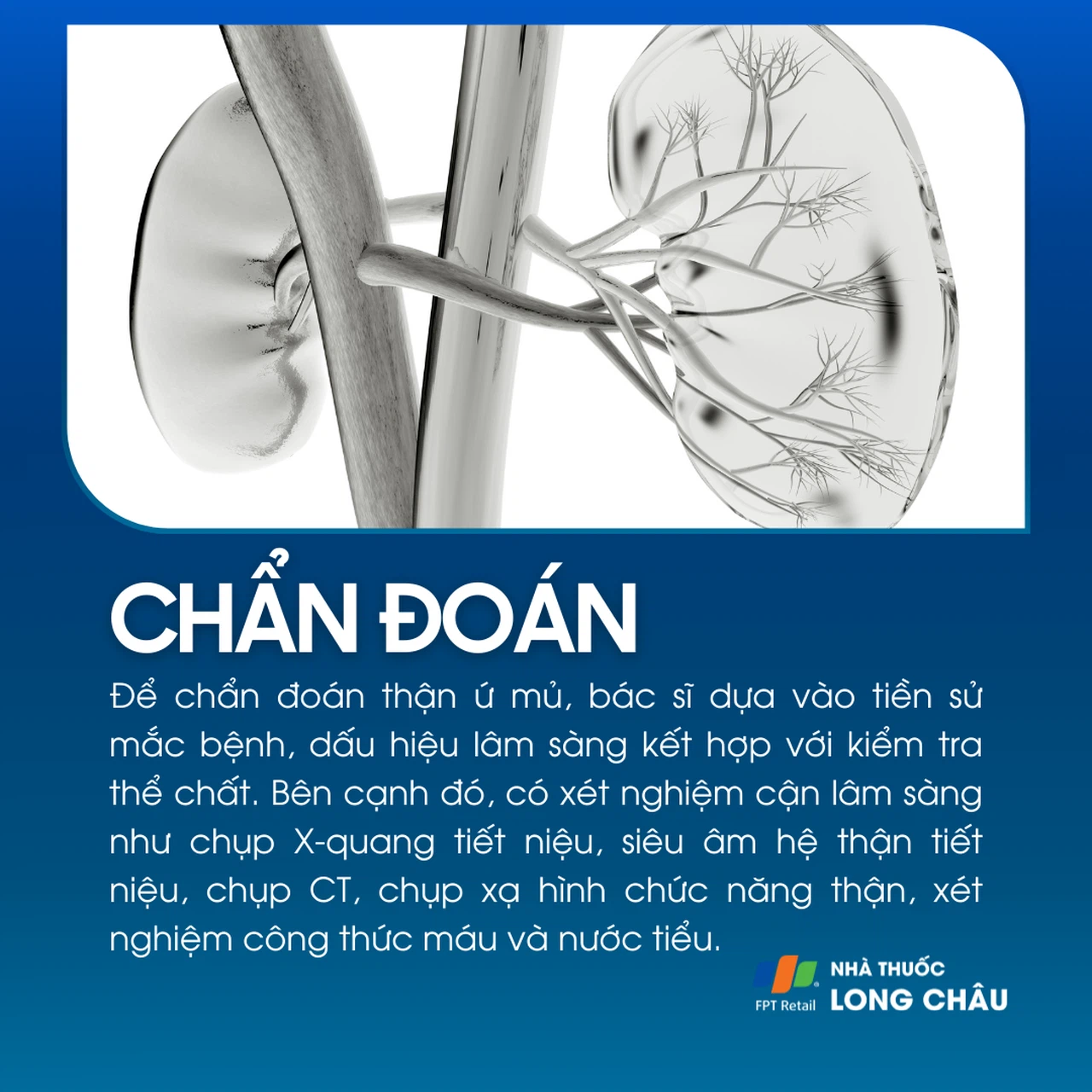 Thận ứ mủ 5