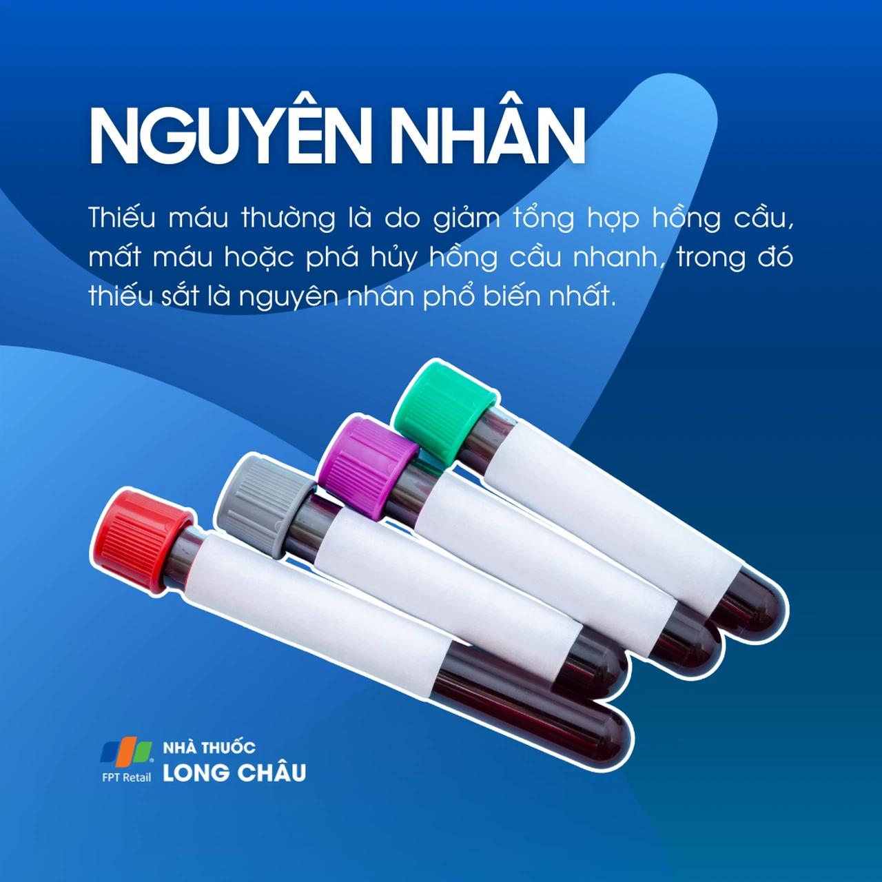 Thiếu máu 3