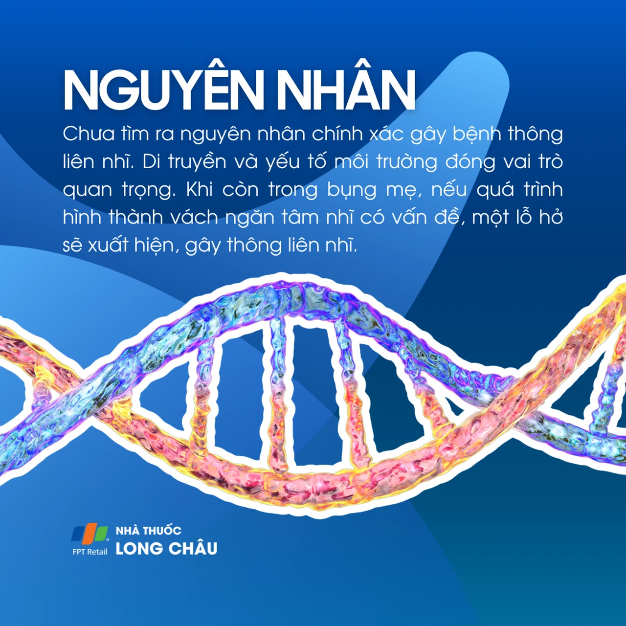 Thông liên nhĩ 3