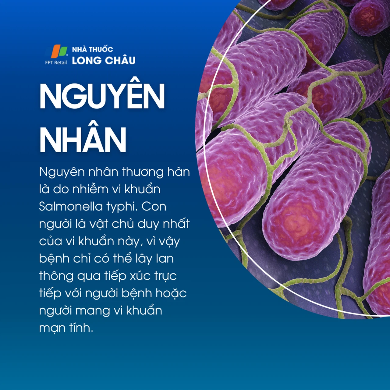 Thương hàn 3