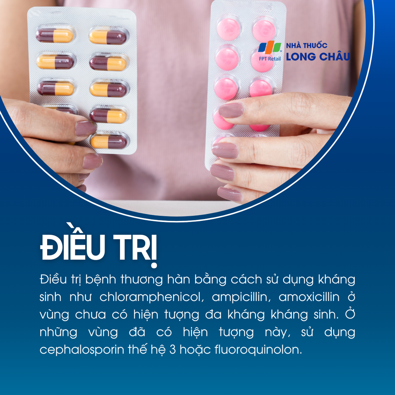 Thương hàn 6