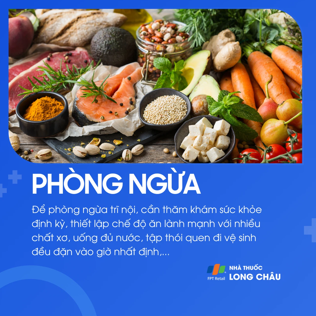 Trĩ nội 8
