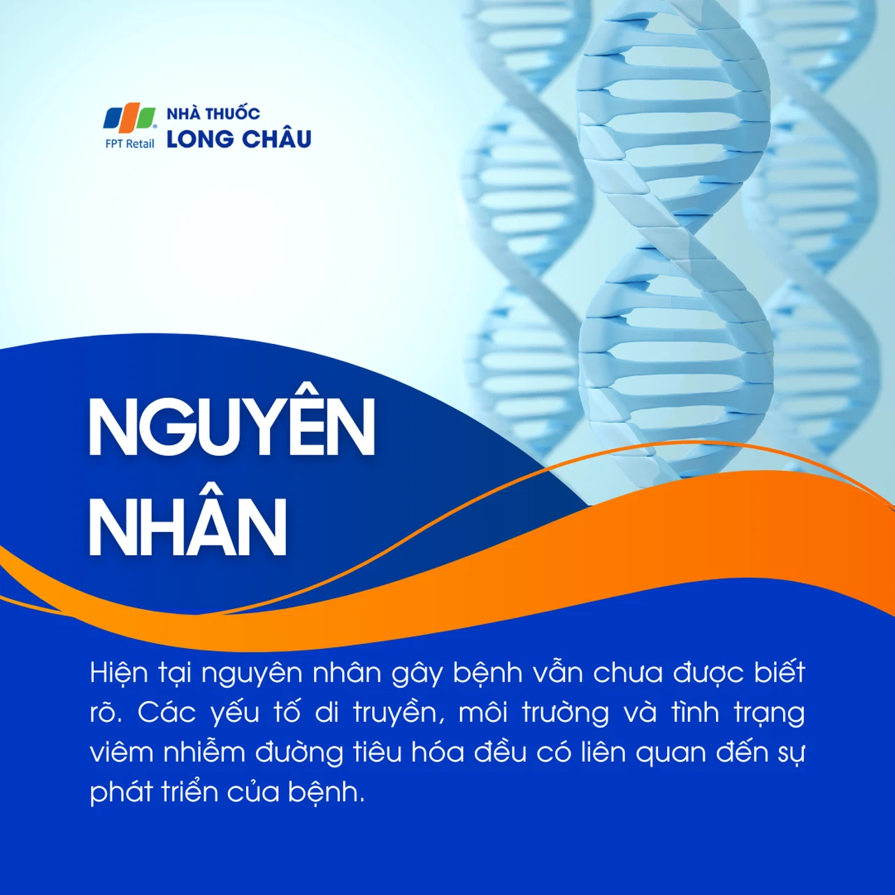 U đại tràng 3
