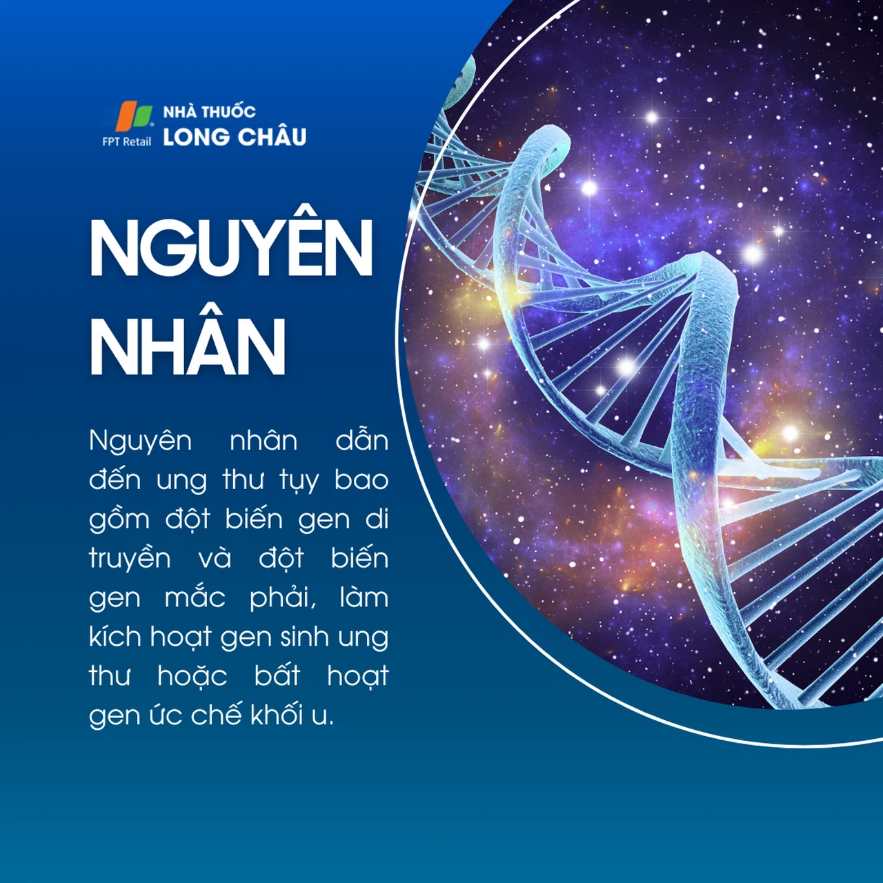 Ung thư tụy 3