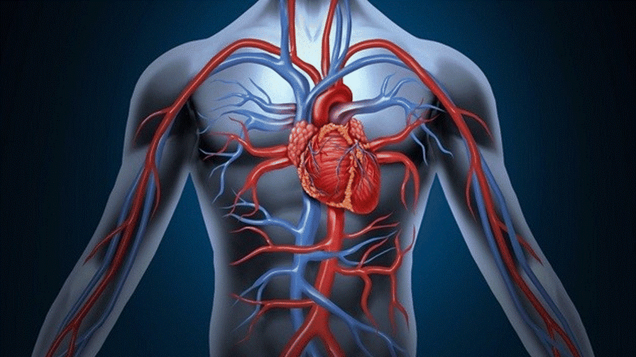 Viêm động mạch chủ là gì? Nguyên nhân, triệu chứng và cách điều trị