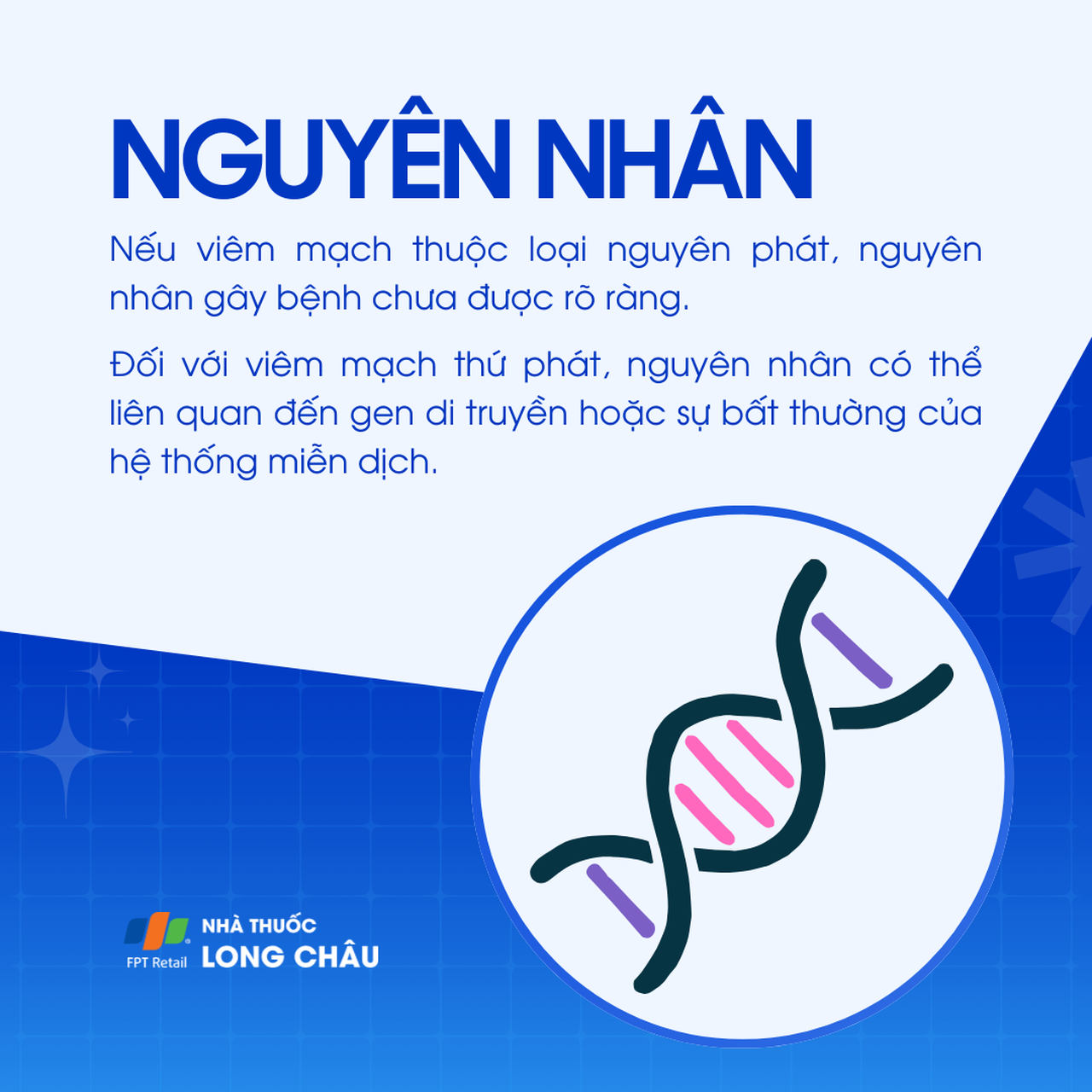 Viêm mạch 3