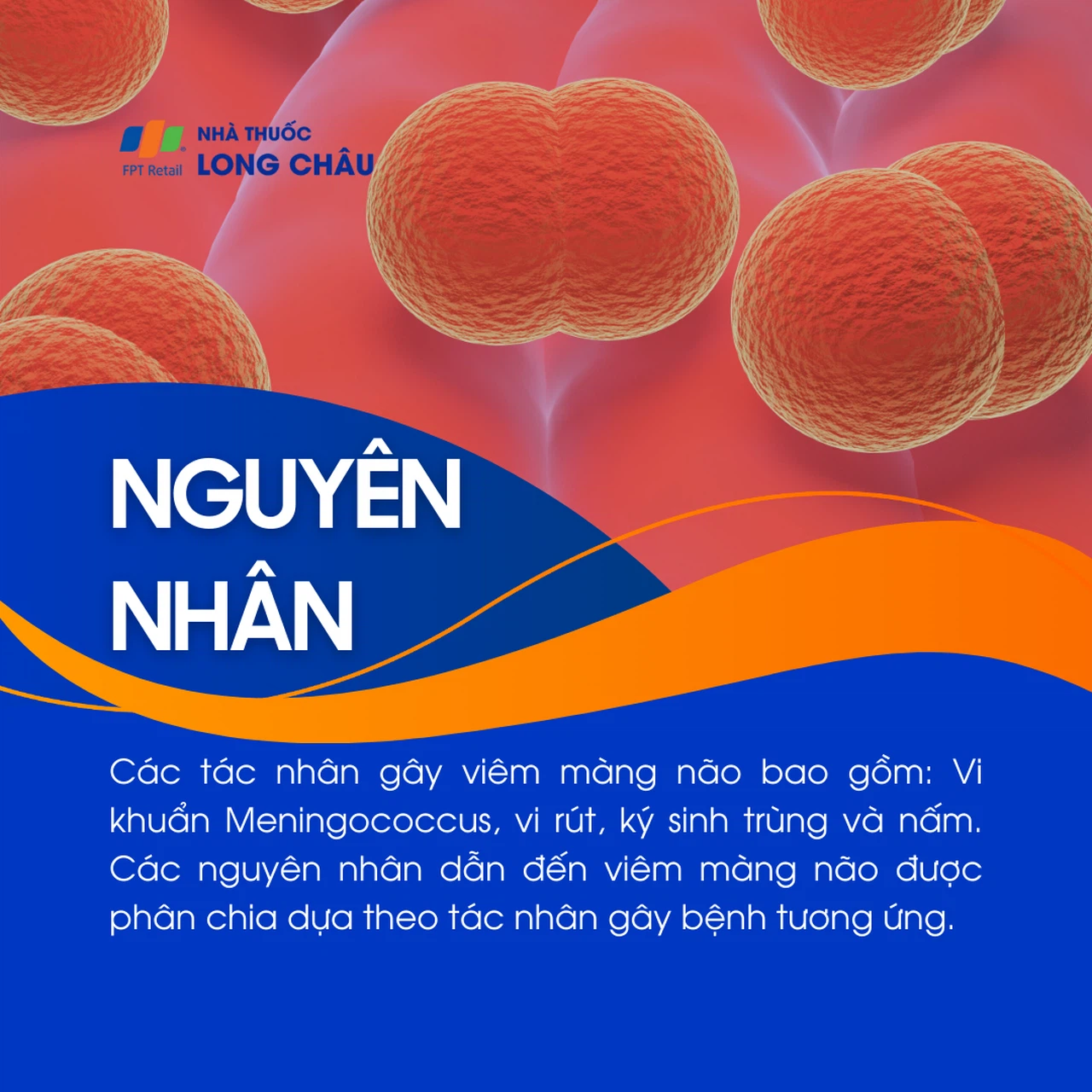 Viêm màng não 3