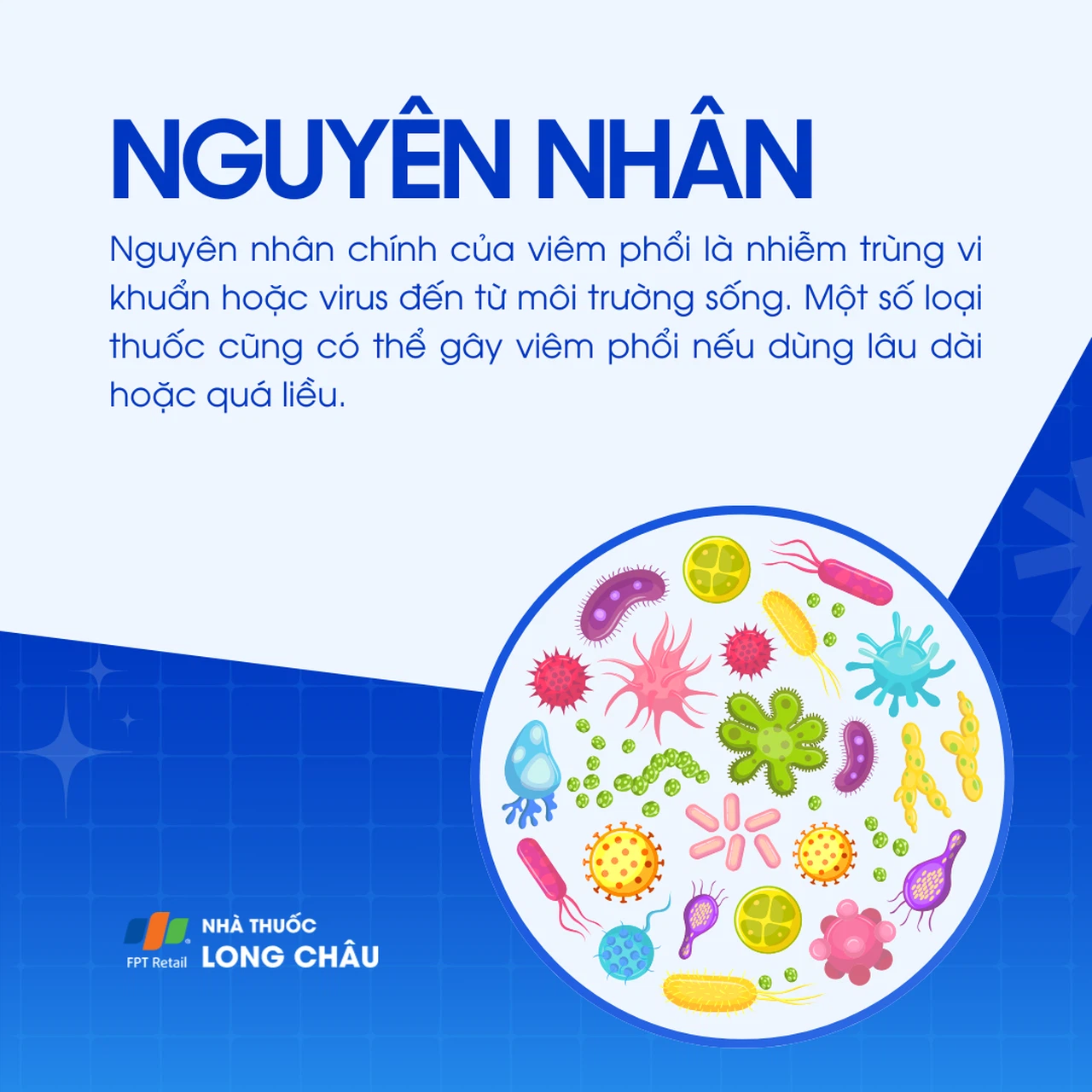 Viêm phổi 3