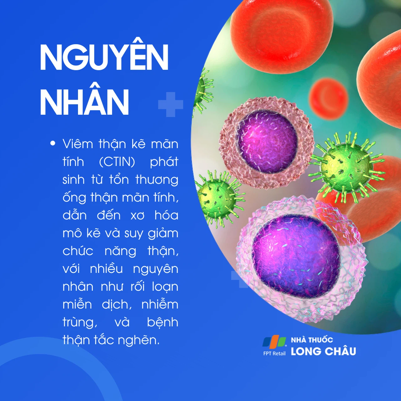 Viêm thận kẽ 5