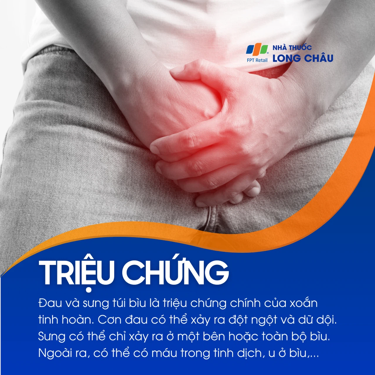 Xoắn tinh hoàn 2