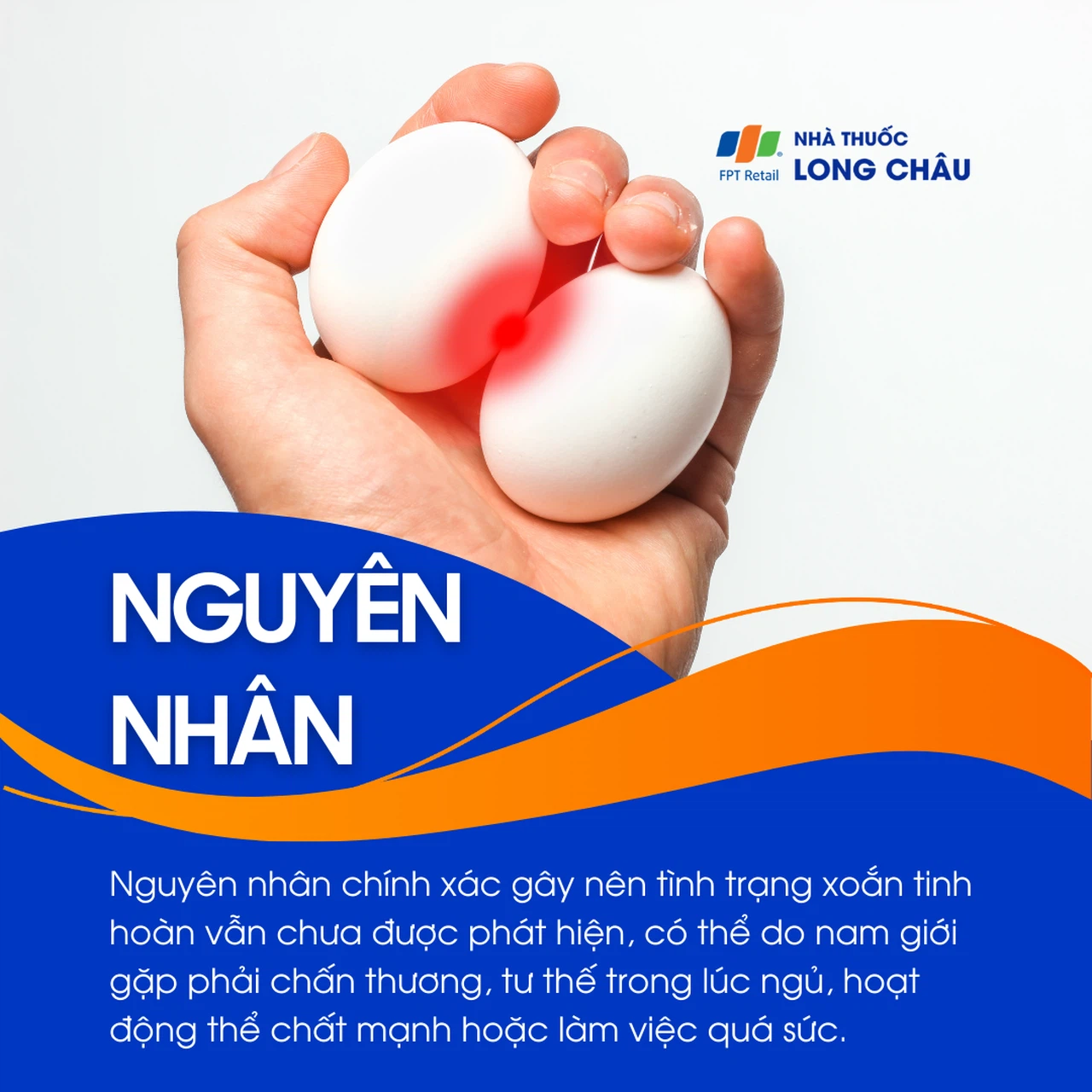 Xoắn tinh hoàn 3