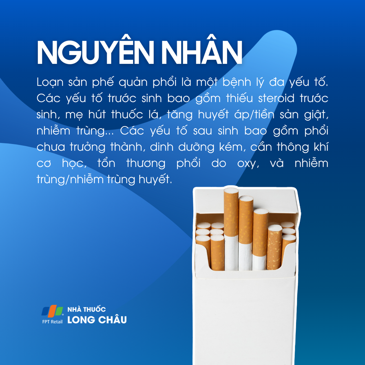 Loạn sản phế quản phổi 3