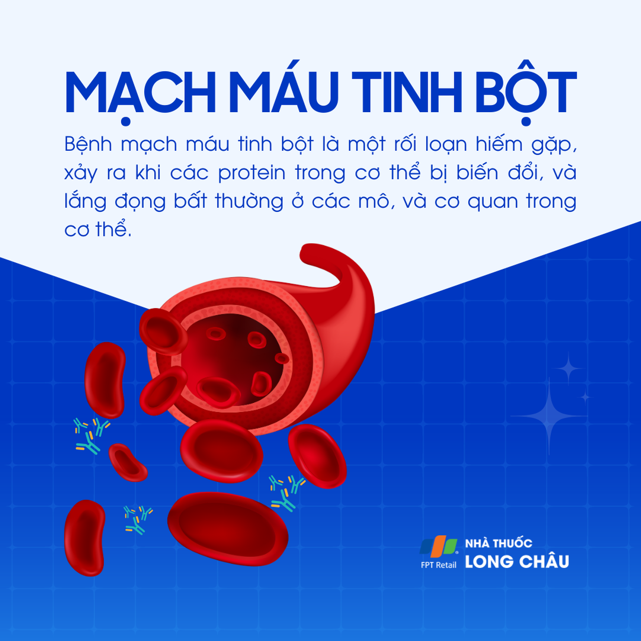 Mạch máu tinh bột 1