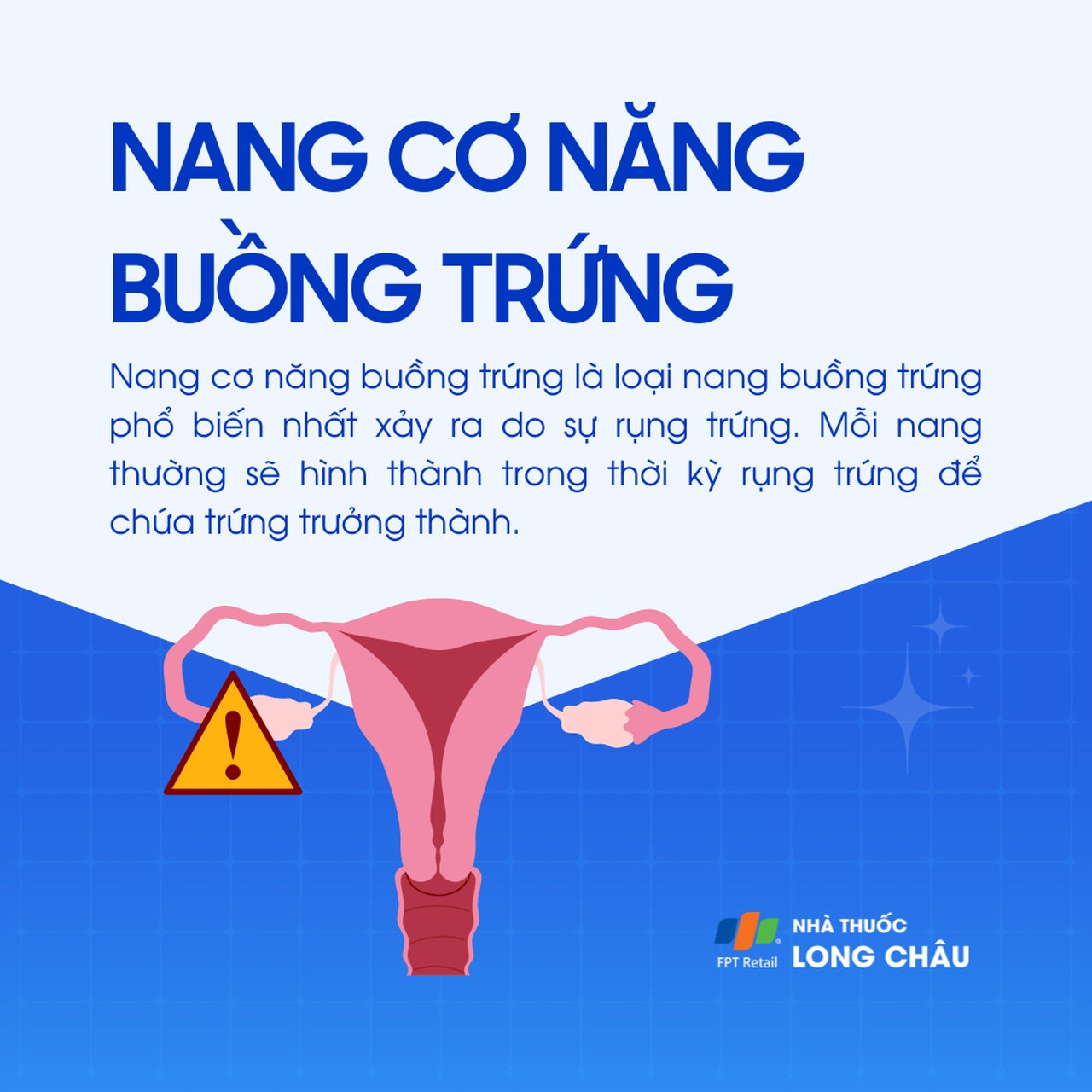 Nang cơ năng buồng trứng 1