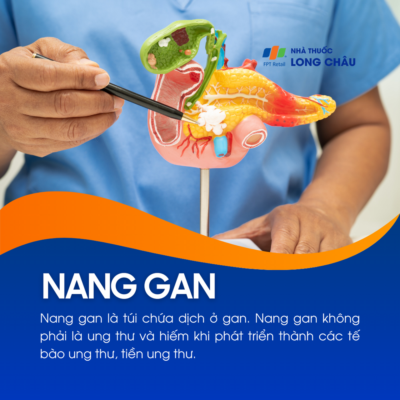 Nang gan 1