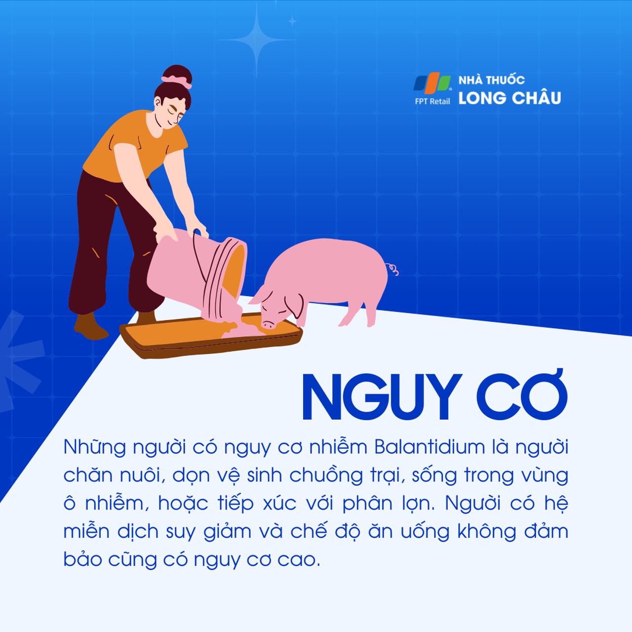 Nhiễm Balantidium 4