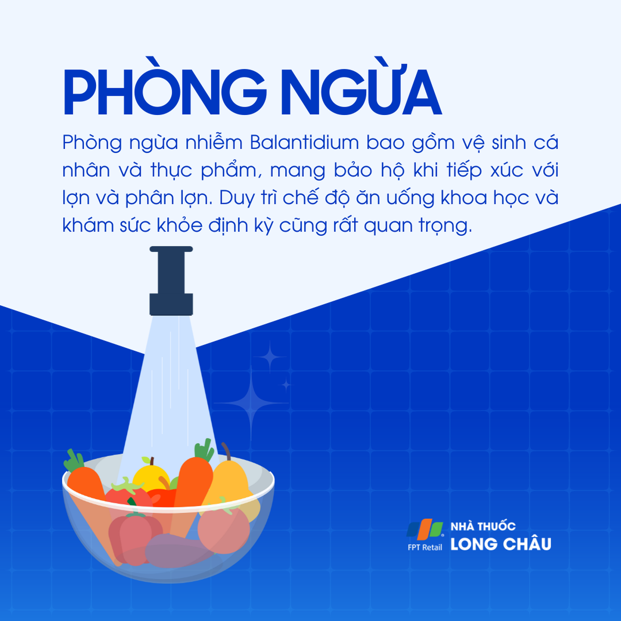 Nhiễm Balantidium 7