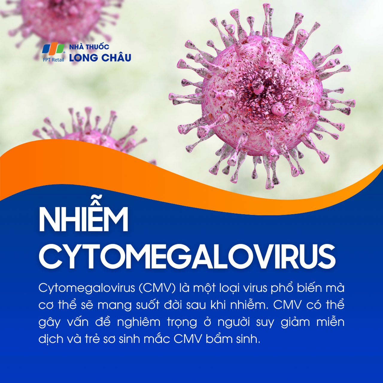 Nhiễm Cytomegalovirus 1