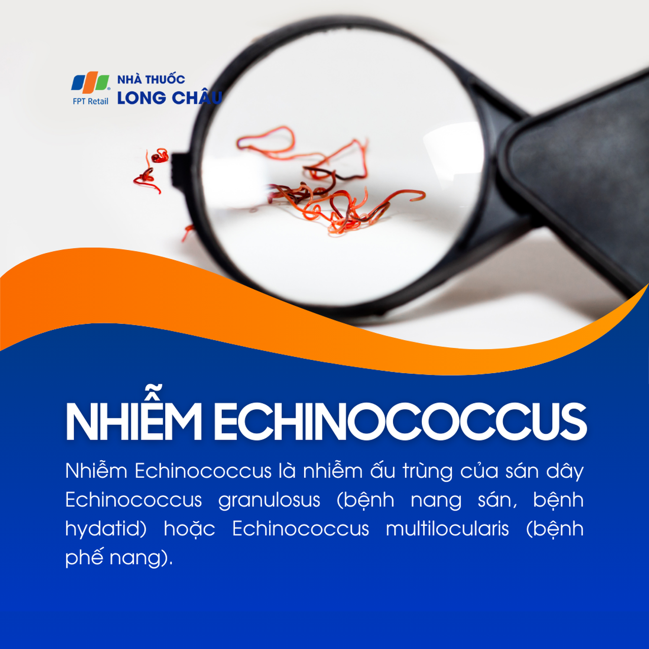 Nhiễm Echinococcus 1