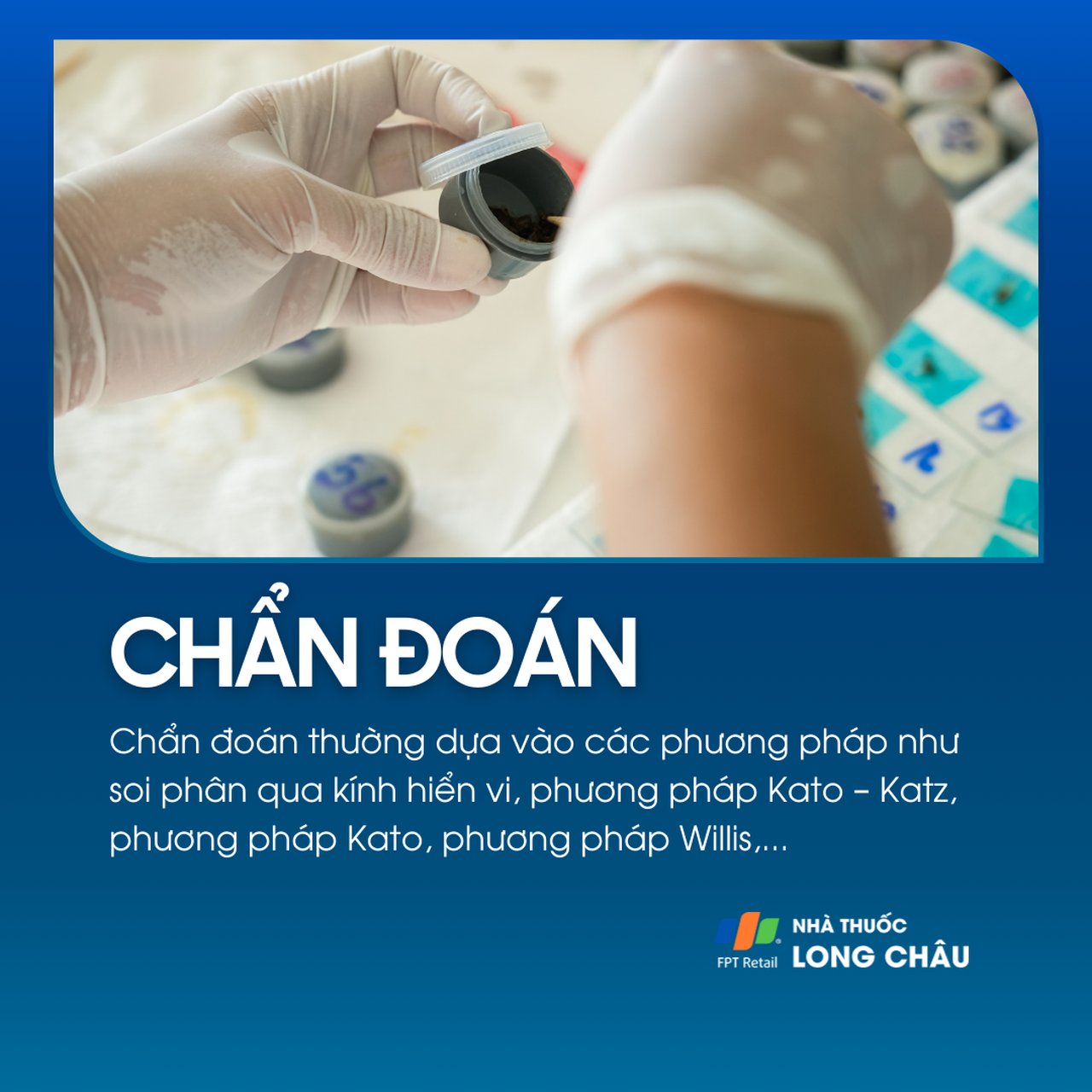 Nhiễm giun đũa 5