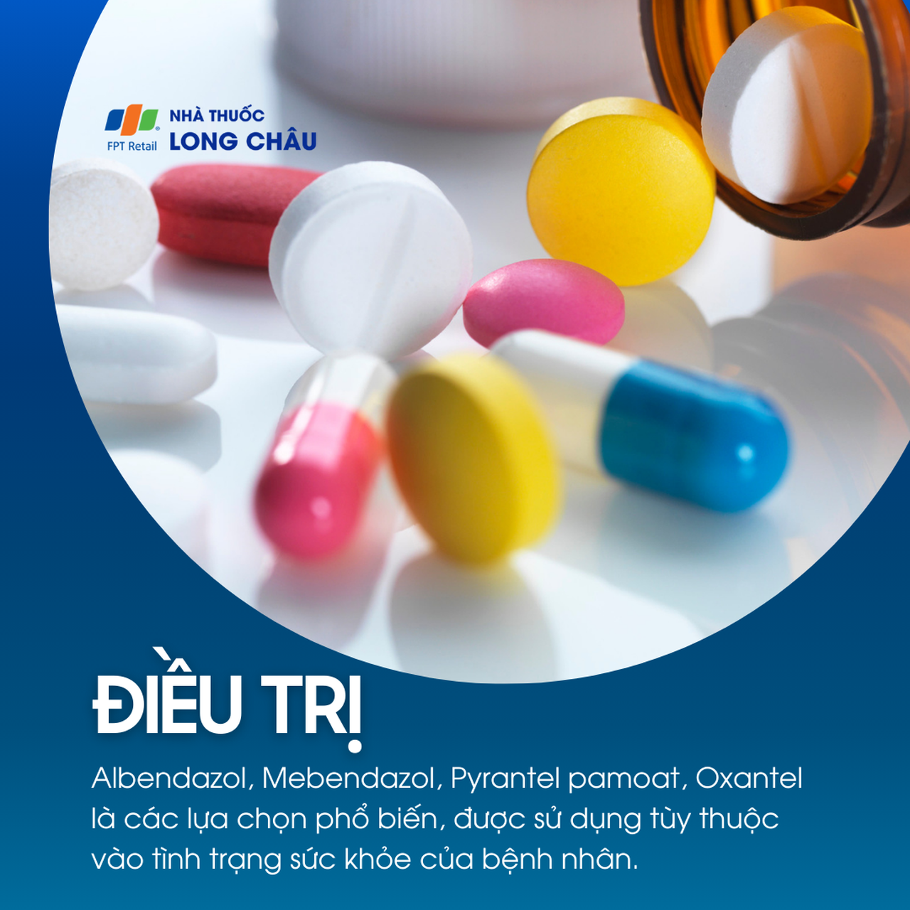 Nhiễm giun đũa 6